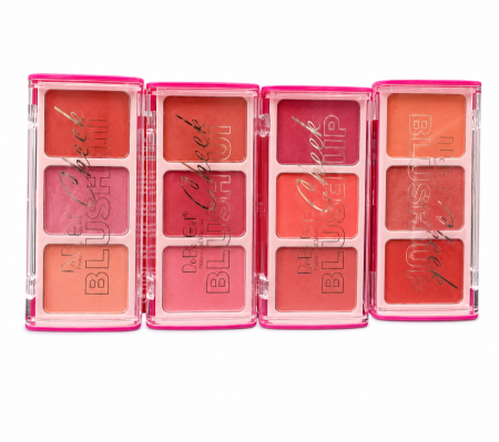 🌸 Dodo Girl Blush Palette | مجموعة بلاشر